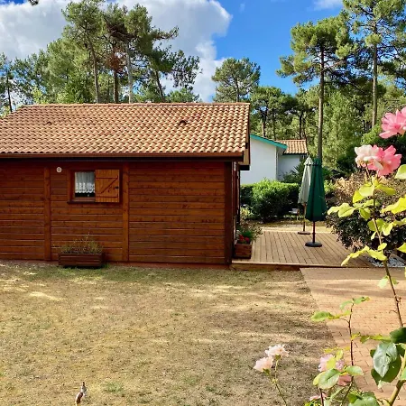 Cute Very & Close To The Chalet *